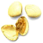 One opened, more to come!